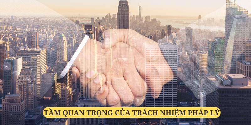 Trách nhiệm pháp lý có tầm quan trọng đặc biệt đối với quyền lợi của người chơi