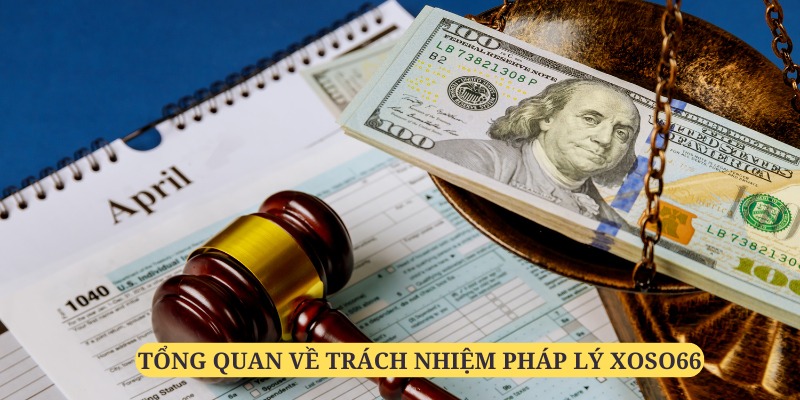 trách nhiệm pháp lý